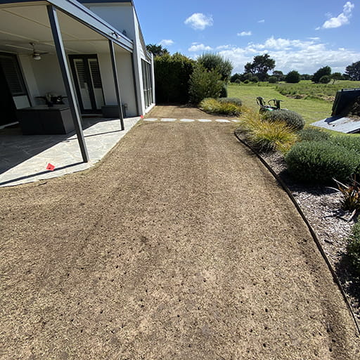 Full Lawn Renovation