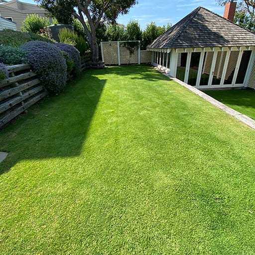 Lawn Mowing & Edging